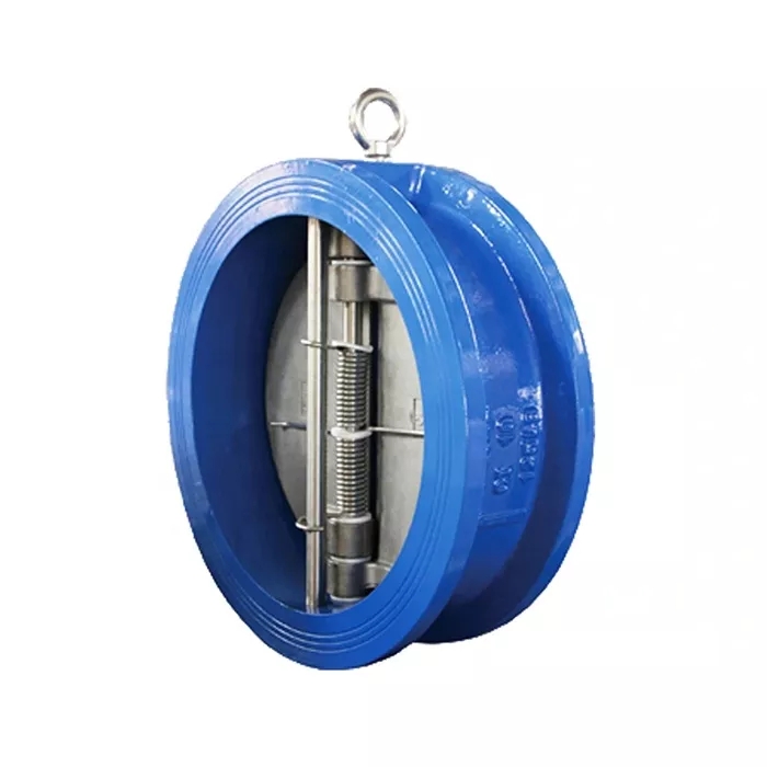 check valves 2.jpg
