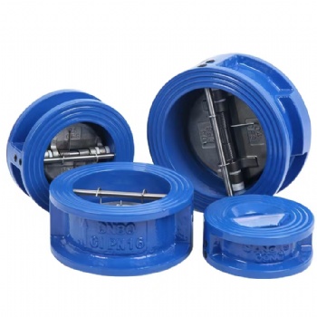 Cast Iron Double Disc Door Wafer Type Dual Plate Check Valve